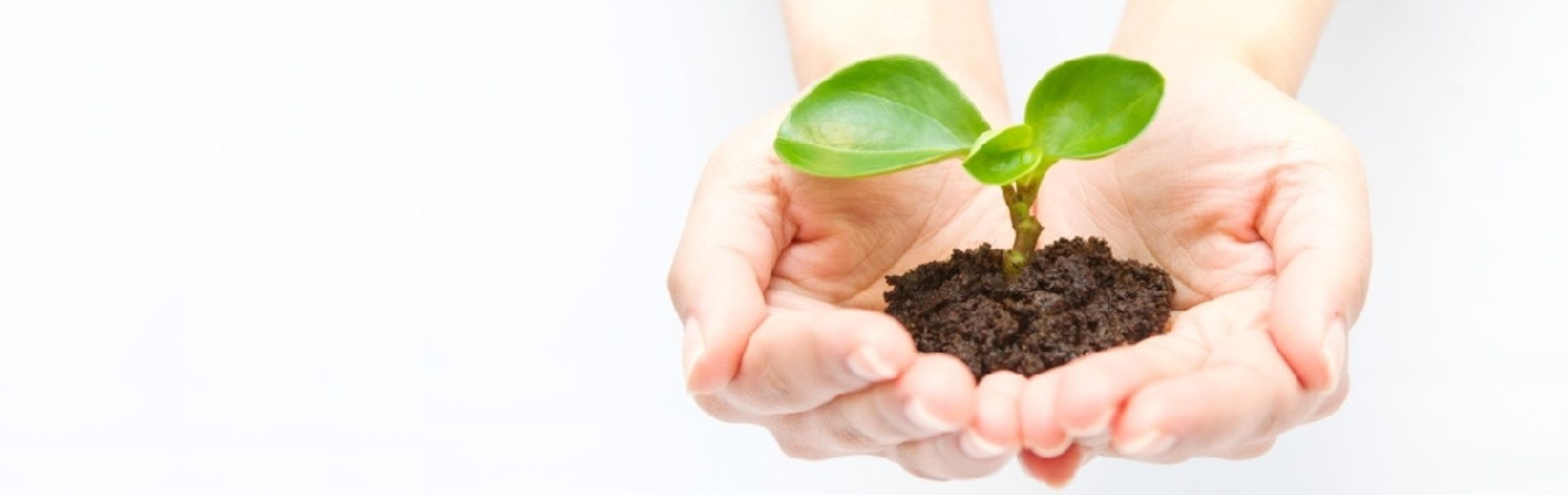 オフィスハーモニー社会保険労務士事務所オフィスハーモニー社会保険労務士事務所のトップスライド画像